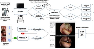 Videomics of the Upper Aero-Digestive Tract Cancer: Deep Learning Applied to White Light and Narrow Band Imaging for Automatic Segmentation of Endoscopic Images